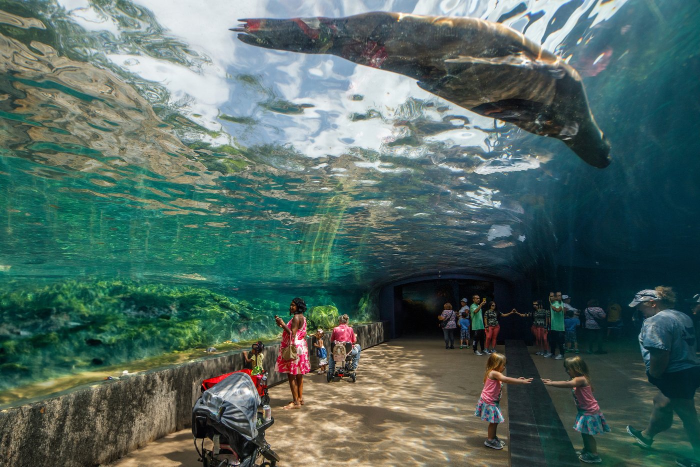 The Houston Zoo - Galapagos Island